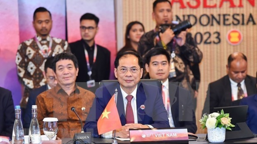 Vietnamese, Japanese FMs meet on AMM-56 sidelines